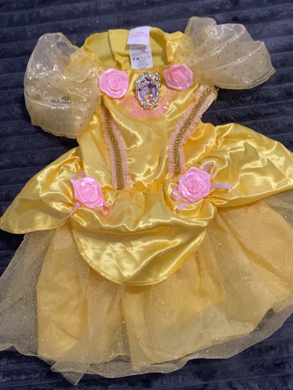 Disney princess costume
